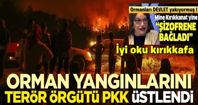 Orman yangÄ±nlarÄ±nÄ± terÃ¶r Ã¶rgÃ¼tÃ¼ PKK Ã¼stlendi