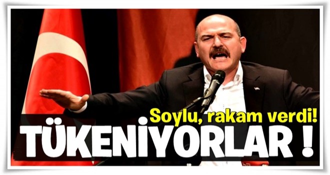 Soylu, rakam verdi! PKK'da tükenişin ayak sesleri