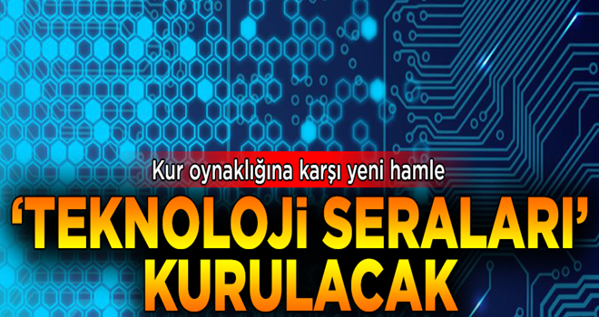 Kur oynaklığına karşı yeni hamle! 'Teknoloji seraları' kurulacak