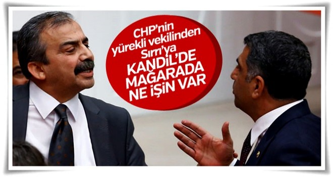 CHP'li Gürsel Erol'dan HDP'li Sırrı Süreyya Önder'e Kandil yanıtı