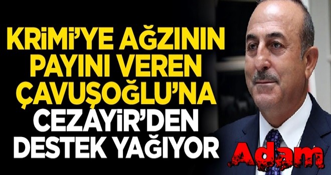 Krimi'ye aÄzÄ±nÄ±n payÄ±nÄ± veren ÃavuÅoÄlu'na, Cezayir'den destek yaÄÄ±yor