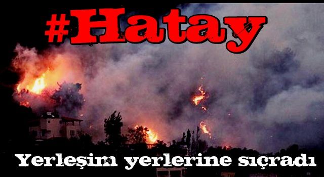 Hatay'daki yangında son durum!