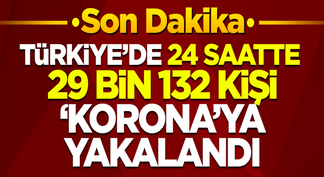 26 Kasım 2020'de Türkiye'de son 24 saatte 29 binden fazla kişi koronavirüse yakalandı