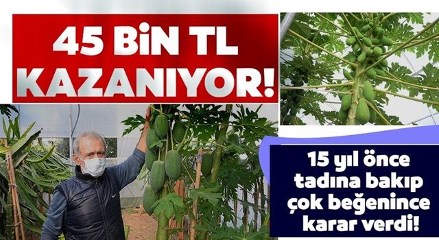 15 yıl önce tadına bakıp çok beğenince karar verdi! 45 bin TL kazanıyor