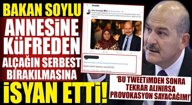 Bakan Soylu'dan sitem dolu mesaj