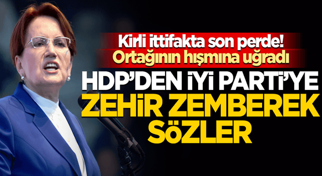 Akşener'in sözleri 'şer ittifakını' sarstı! HDP'den 'ortaklarına' sert cevap