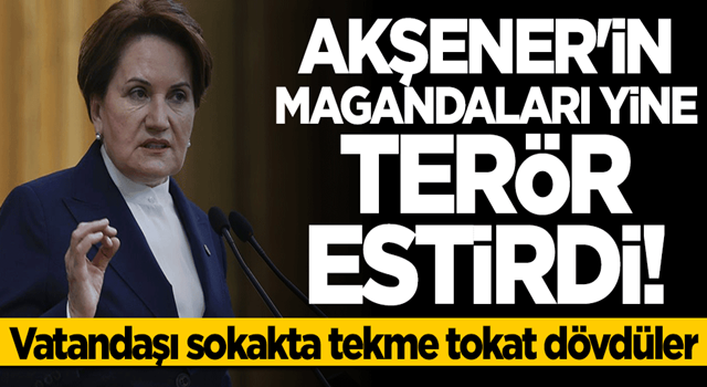 Meral Akşener'e HDP'yi soran vatandaş darp edildi