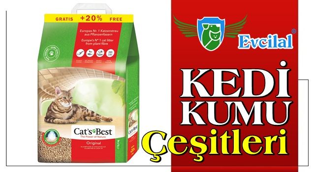 Yaşadığınız Evin İçinde Kedi Kumu Nereye Koyulmalı?