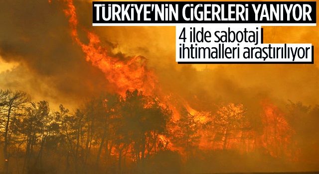 Türkiye'nin ormanları yanıyor