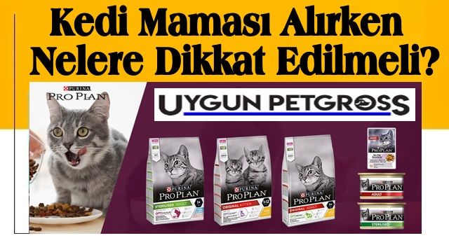 Kedi Maması (Konserve, Ödül, Açık, Kuru) Alırken Nelere Dikkat Edilmeli?