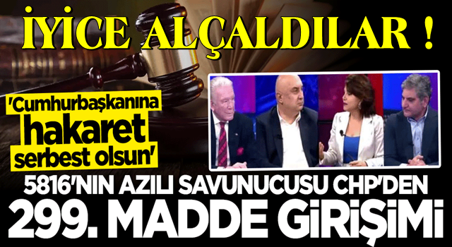 CHP: Cumhurbaşkanına hakaret maddesi TCK'dan kaldırılsın