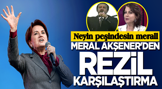 Kimi kafalıyorsun sen? Meral Akşener'den iğrenç karşılaştırma