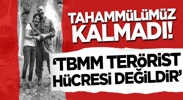 Teröristle fotoğrafları ortaya çıkan HDP'li vekil için 'dokunulmazlığı kaldırılsın' çağrısı: TBMM terörist hücresi değil!