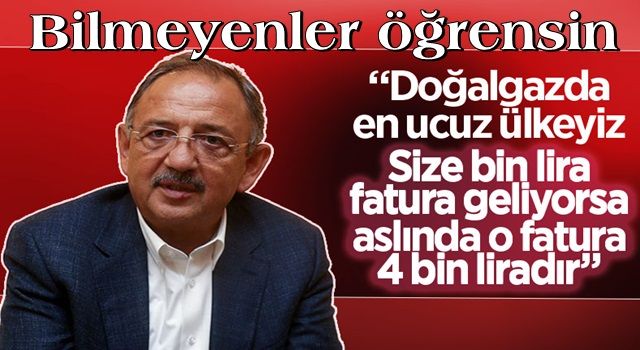 Özhaseki: Doğalgazın yüzde 75’ini devlet karşılıyor