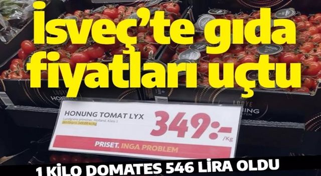 Stockholm'de birinci sınıf domatesin kilosu 349 krona (546 liraya) yükseldi