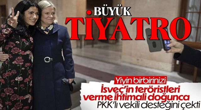 PKK'lı vekil İsveç'te hükümetten desteğini çekti