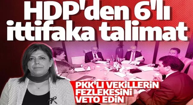 Meral Danış Beştaş'tan muhalefete fezleke çağrısı