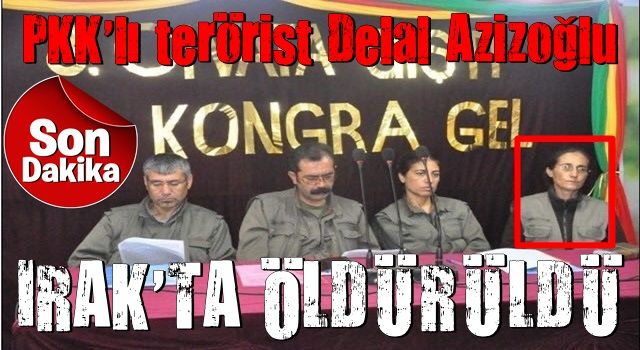 Son dakika: PKK'nın 2 kilit ismi Delal Azizoğlu ve Şükran Alp etkisiz hale getirildi!