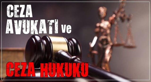 Ceza Avukatlarının Baktığı Davalar Nelerdir?