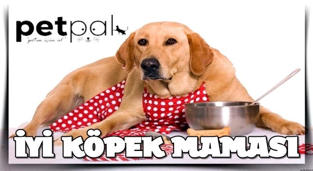 İyi Köpek Maması Nasıl Anlaşılır?