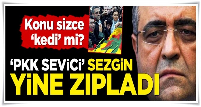 'Asker' kılıklı caniyi fırsat bilen CHP'li Sezgin yine zıpladı