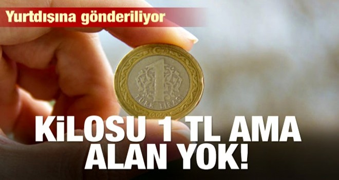Kilosu 1 lira ama alan yok! Yurtdışına gönderiliyor