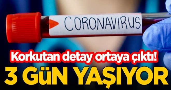 Korkutan koronavirüs detayı: 3 gün yaşıyor