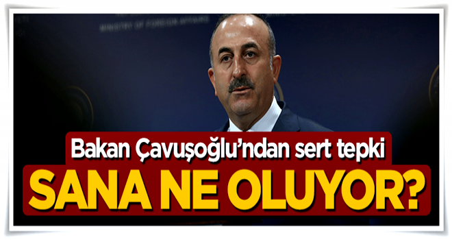 Bakan Mevlüt Çavuşoğlu'ndan Almanya'ya sert tepki: Sana ne oluyor?