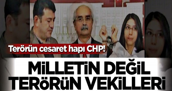 Terörün cesaret hapı CHP! Milletin değil terörün vekilleri