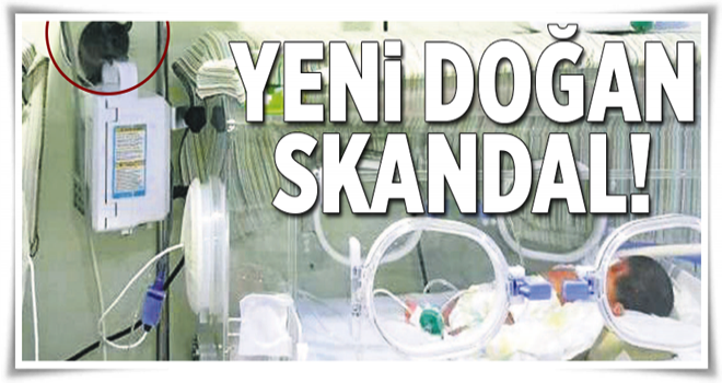 Yeni doğan skandal! .