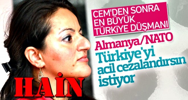 Sevim DaÄdelen'in 'TÃ¼rkiye'yi cezalandÄ±rÄ±n' Ã§aÄrÄ±sÄ±