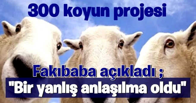 300 koyun projesinden kimler yararlanacak? Bakan açıkladı
