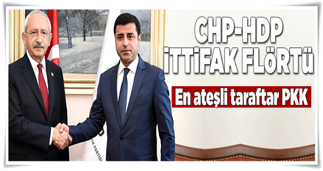 CHP-HDP ittifak flörtü .