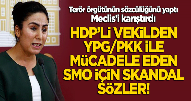 HDP'li vekilden terör örgütü YPG/PKK ile mücadele eden Suriye Milli Ordusu için skandal sözler!