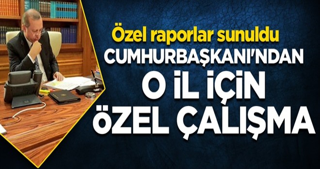 Cumhurbaşkanı'ndan o il için özel çalışma