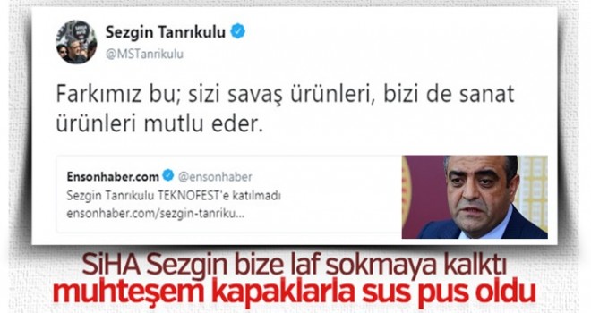 Sezgin TEKNOFEST'ten rahatsız oldu..