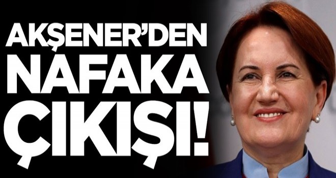 Meral Akşener'den nafaka açıklaması