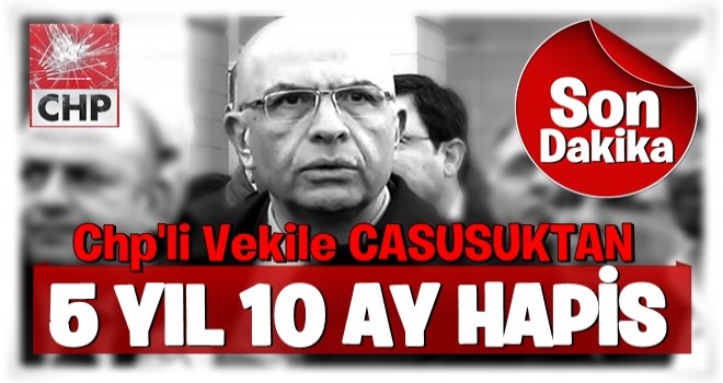 Enis Berberoğlu davasında karar çıktı!