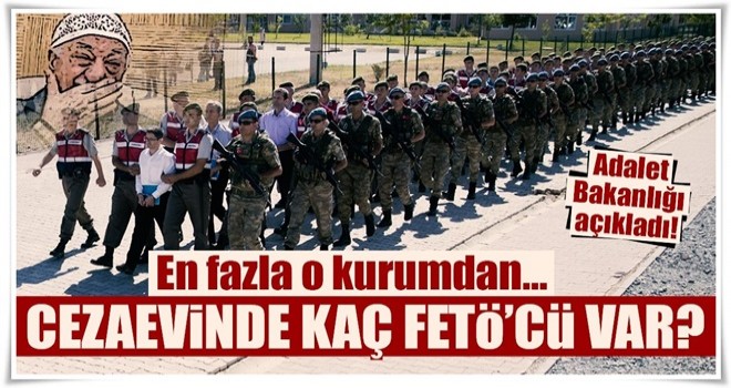 Cezaevinde kaç FETÖ'cü var?