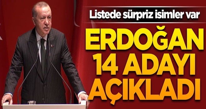 Erdoğan 14 adayı daha açıkladı! Listede sürpriz isimler var