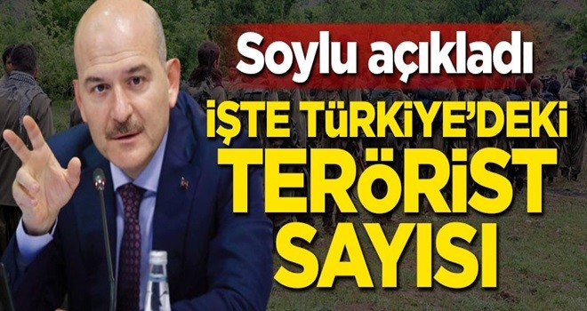 Soylu açıkladı! İşte Türkiye'deki terörist sayısı