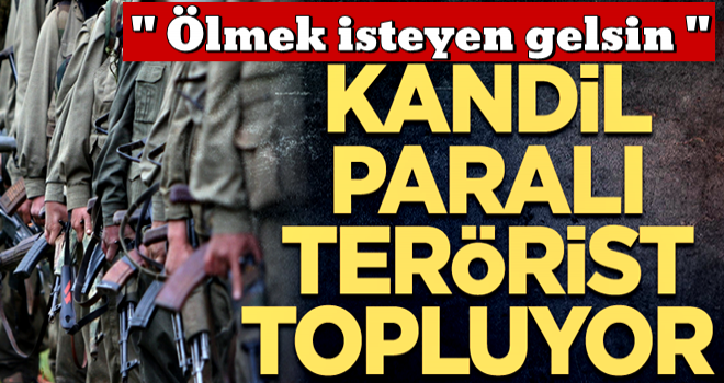 Terör örgütünde büyük çöküş… Kandil paralı terörist topluyor