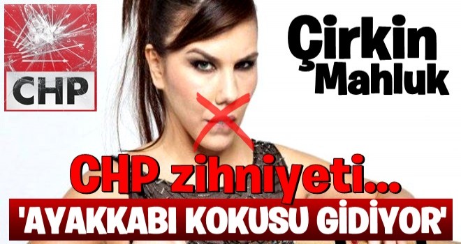 CHP yandaÅlarÄ± sosyal medyada seÃ§meni bÃ¶yle aÅaÄÄ±ladÄ± .