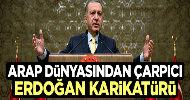 Arap dünyasından çarpıcı Erdoğan karikatürü!