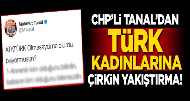 CHP'li Tanal'dan Türk kadınlarına çirkin yakıştırma!