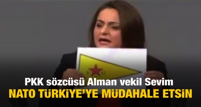 DaÄdelen NATO'yu TÃ¼rkiye'ye mÃ¼dahaleye Ã§aÄÄ±rdÄ±