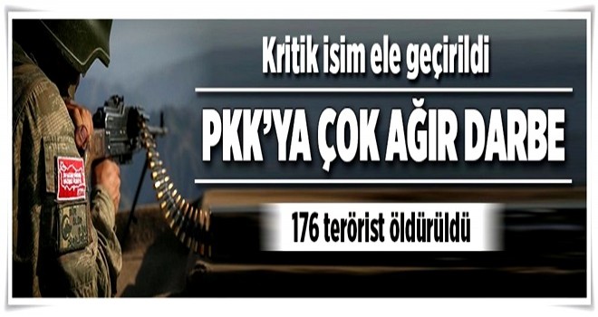 Terör örgütü PKK'ya ağustosta da ağır darbe .