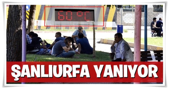 Şanlıurfa'da termometreler 60 dereceyi gördü!