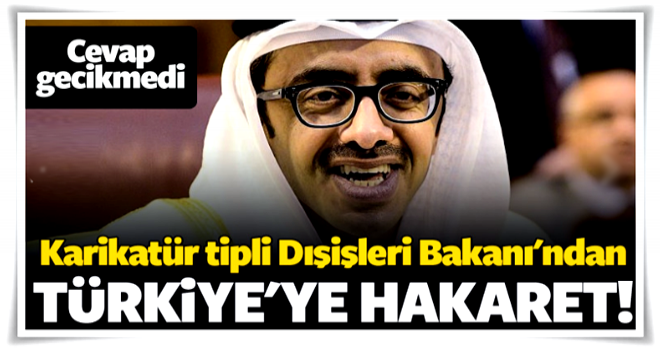 BAE Dışişleri Bakanı'ndan Türkiye'ye hakaret!