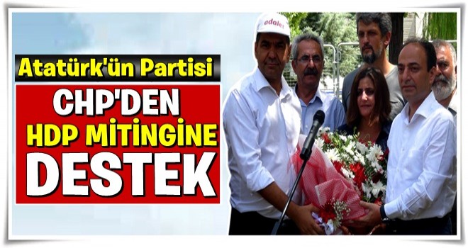 CHP'den HDP'nin eylemine destek